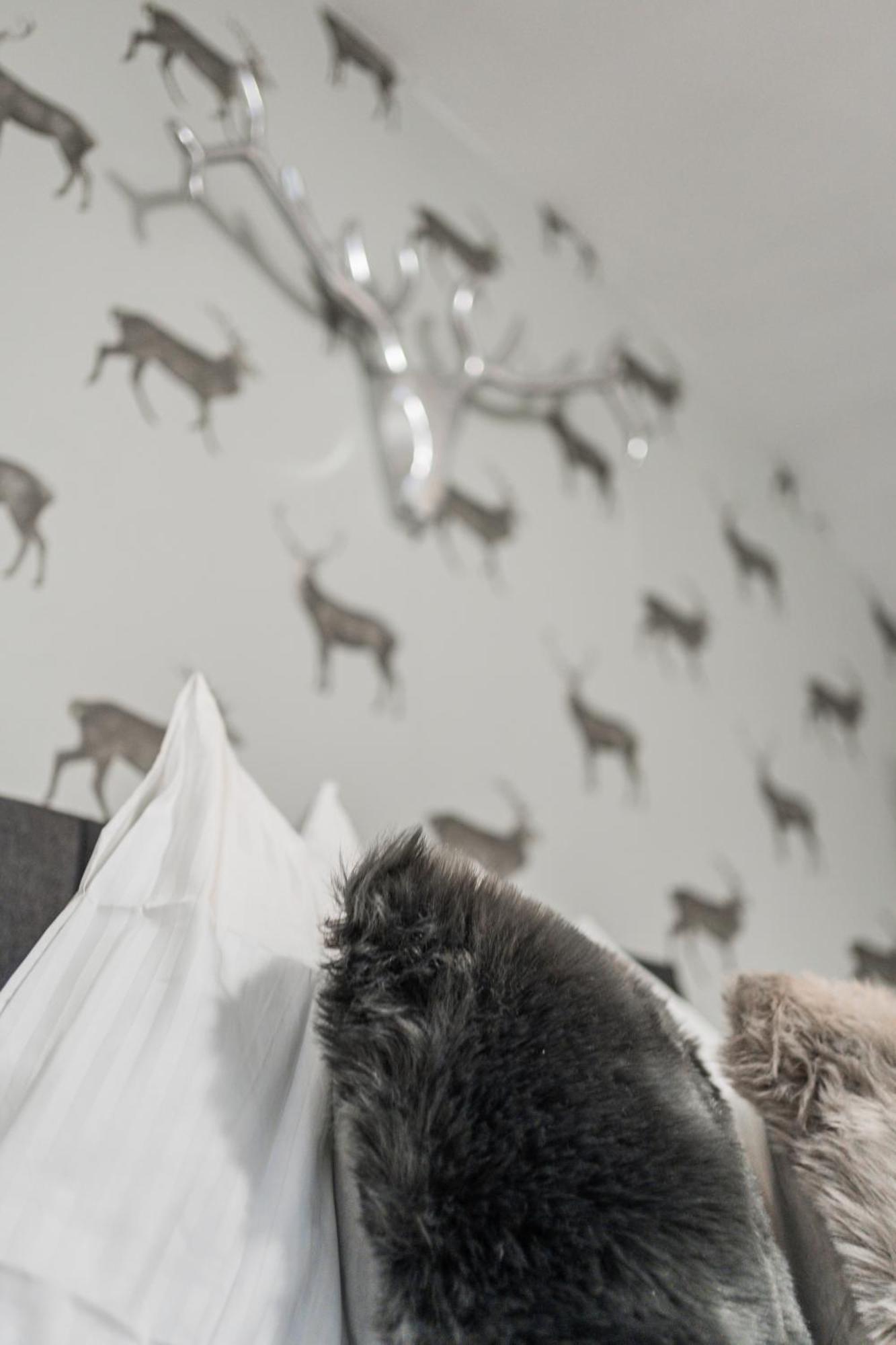 Innsbruck Underground Atelier المظهر الخارجي الصورة